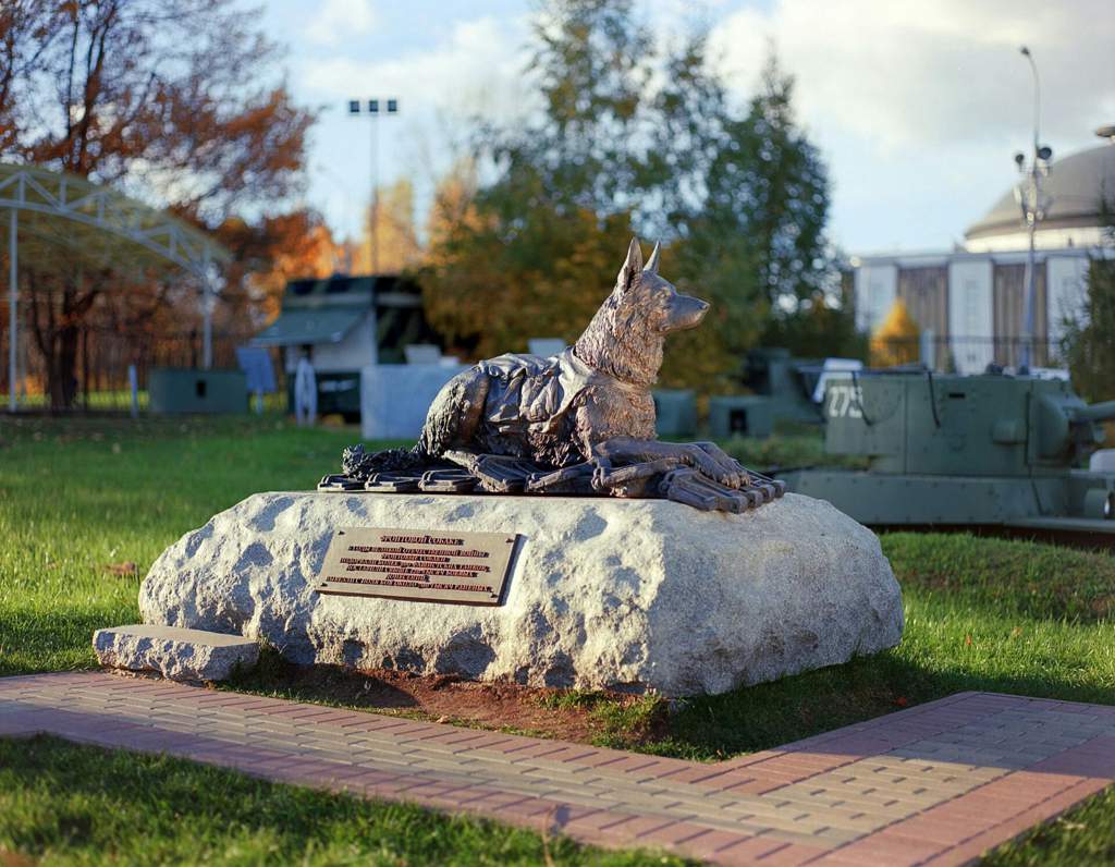 Памятник на горе вов