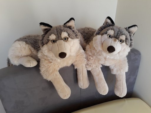 playkids wolf plush