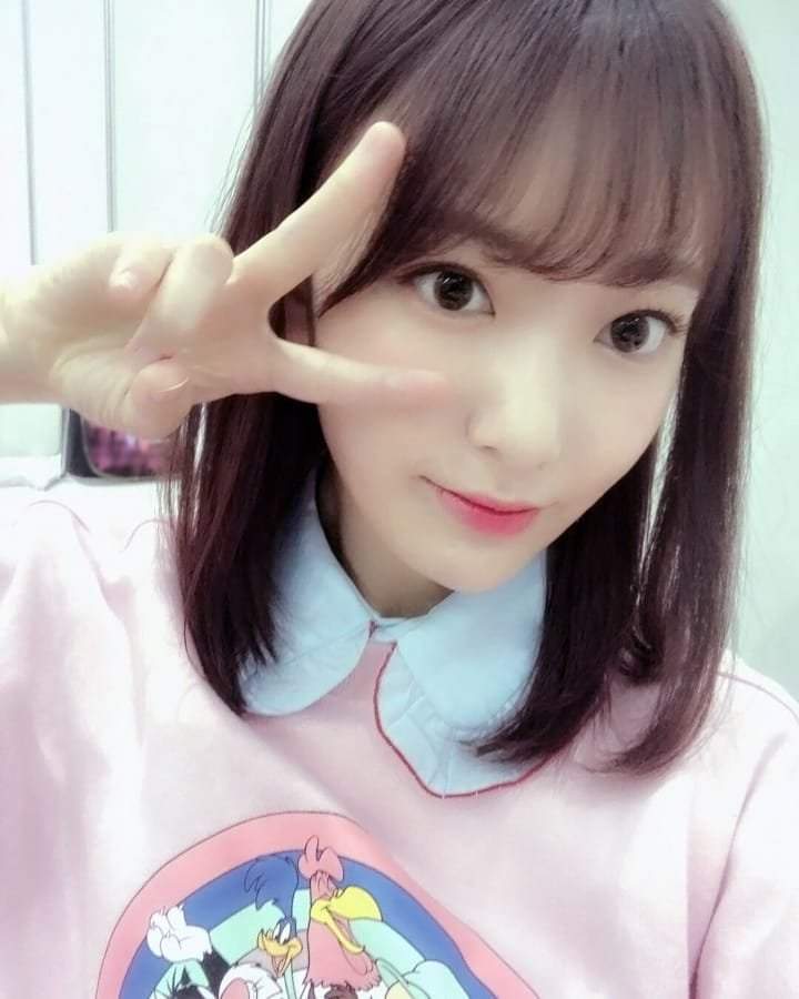 Sakura Appreciation Post(1) | IZ*ONE (아이즈원 | アイズワン) Amino