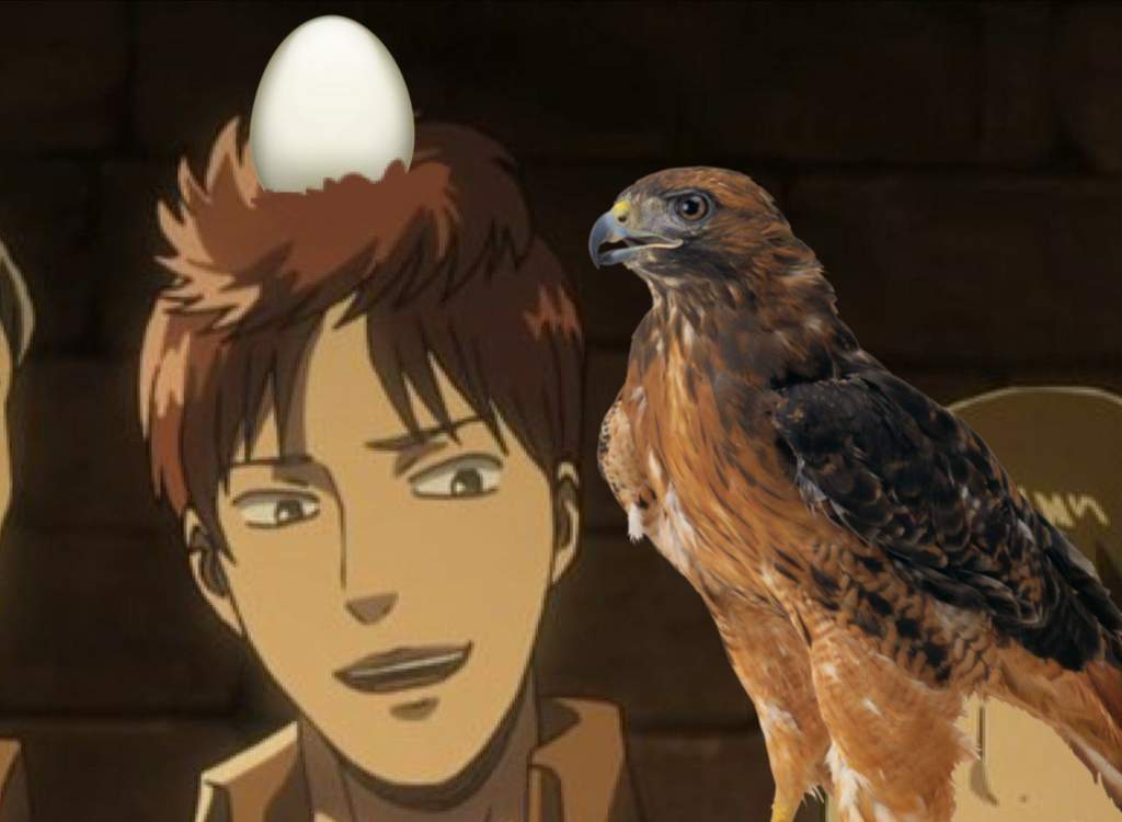 Combien Ya Til De Saison Dans Snk Notes des personnages - SNK saison 3 épisode final (22) ft. Dji & KoaLu