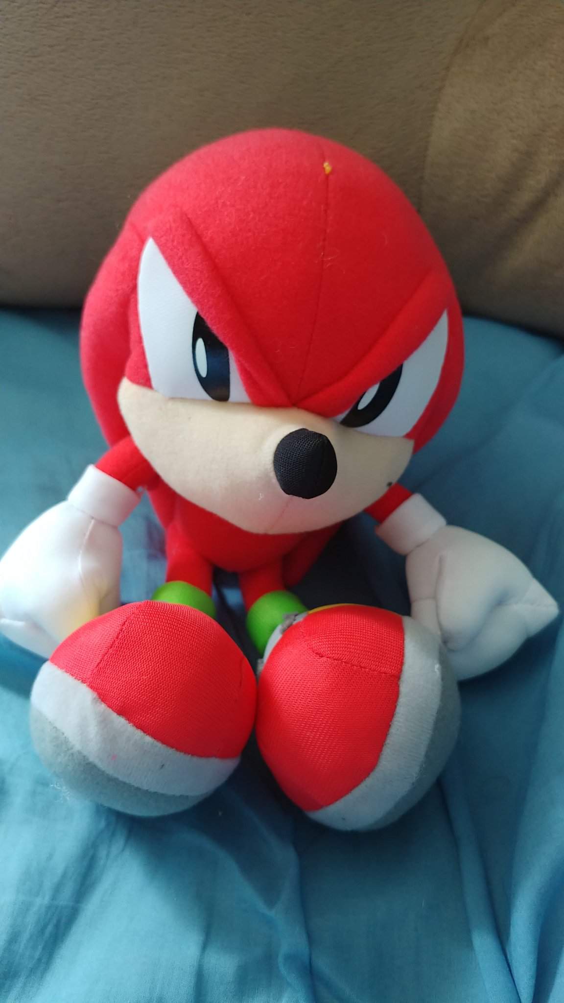 First Sonic Plushie | Sonic the Hedgehog! Amino