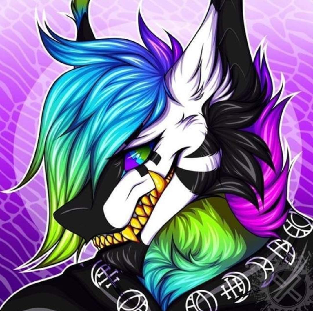 Eivør | Wiki | ☆FURRY☆ Amino