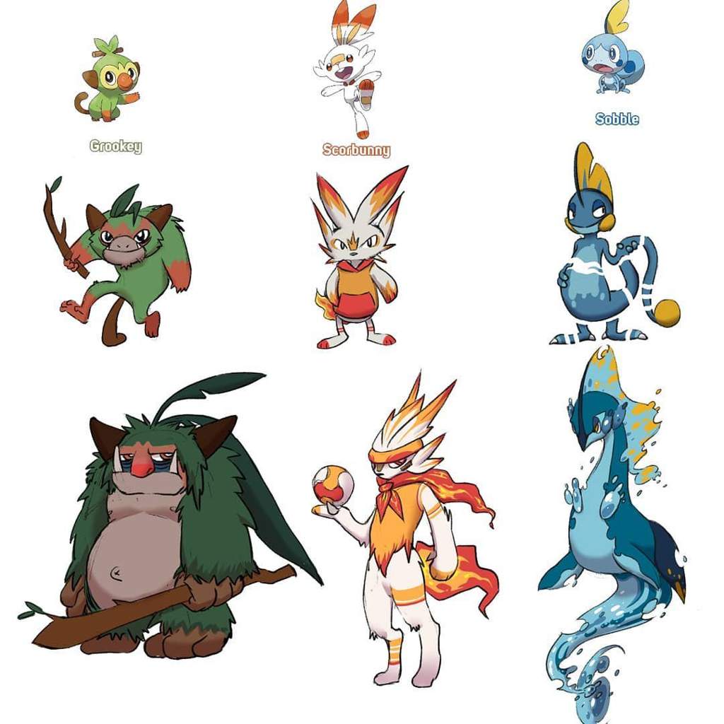 3 Starter Pokemon Sword And Shield Final Evolutions