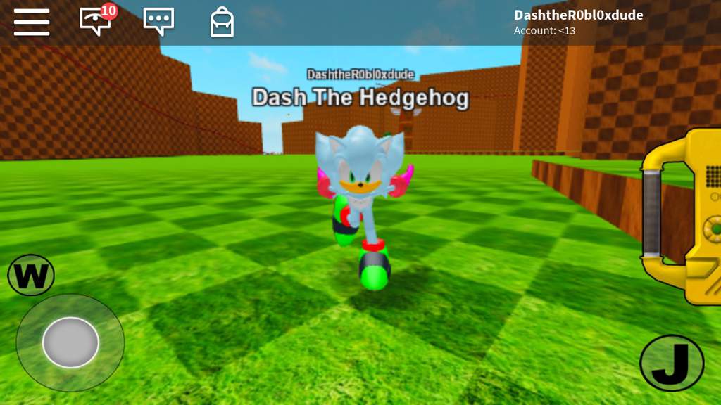 This Is Me In Roblox Sonic The Hedgehog Amino - sonic his world id roblox