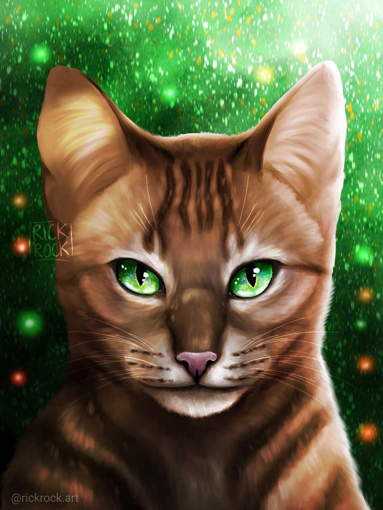 Firestar over the years | Warriors Amino