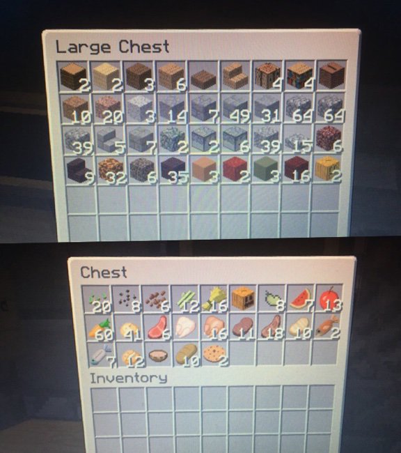 mine craft dungeon toys