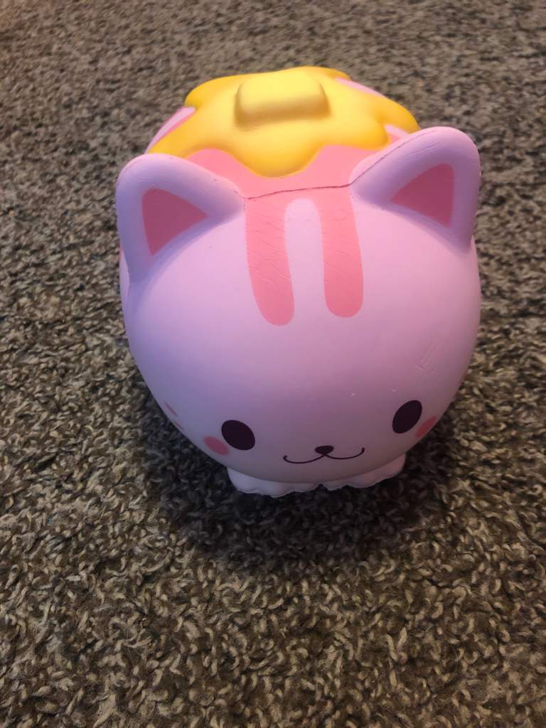 ibloom nyan pancake cat cute slow rising jumbo squishy toy