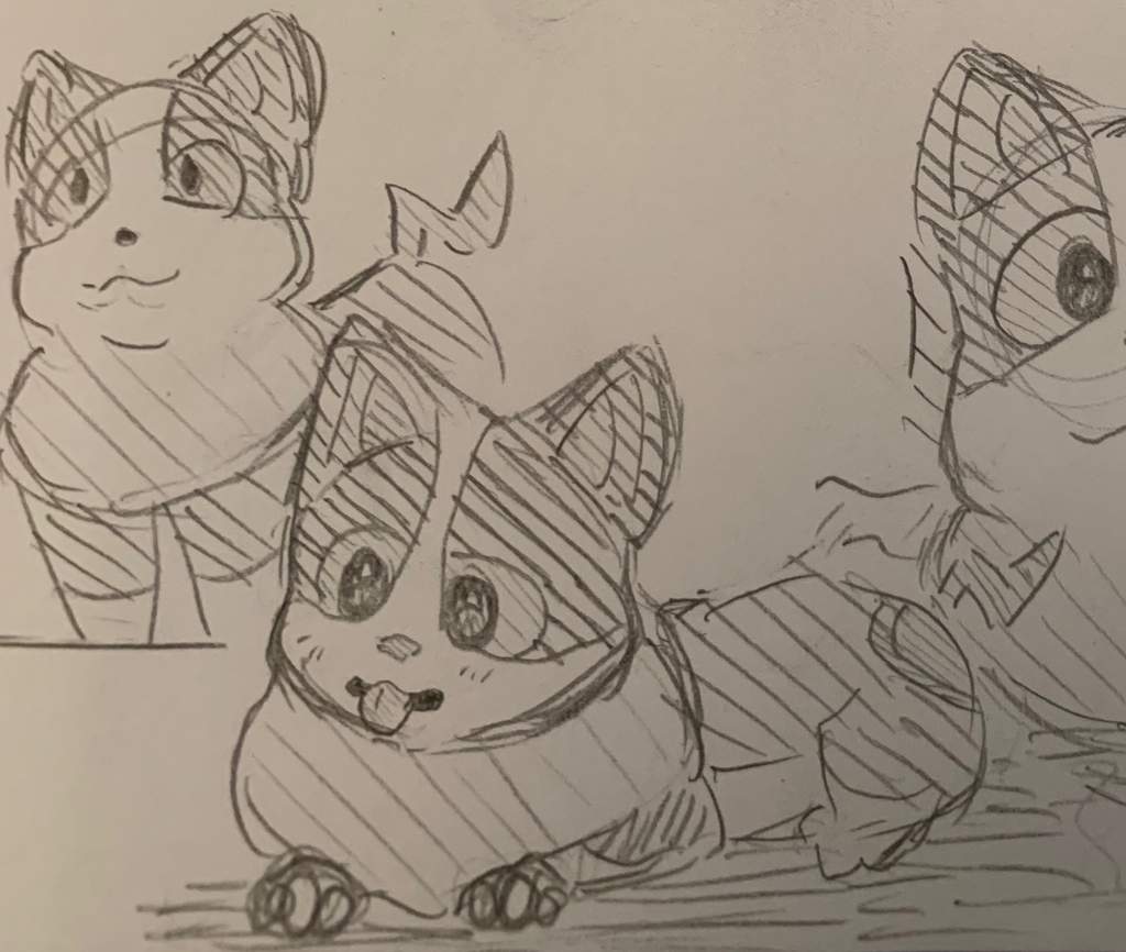 Yamper Drawings 