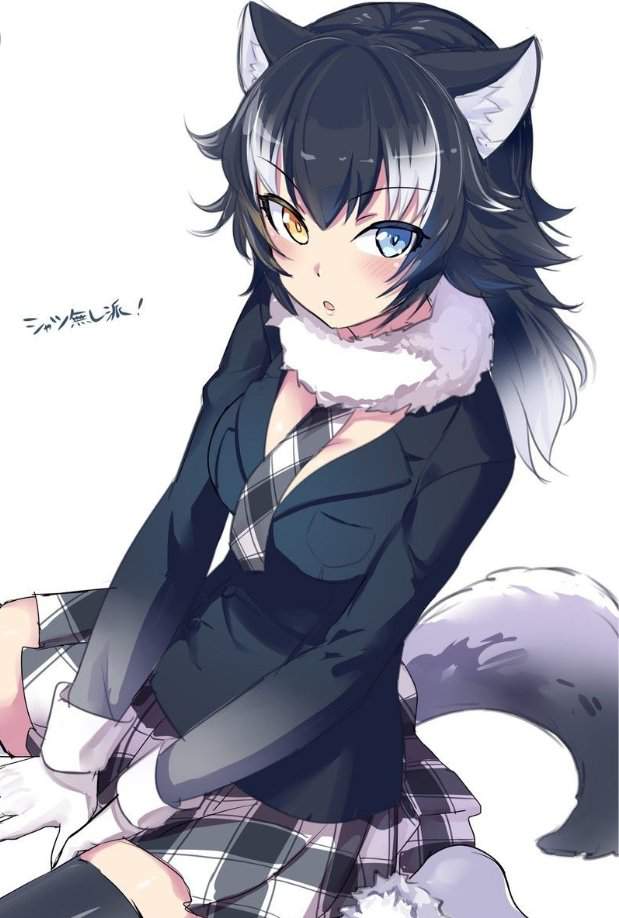 Anime black neko girl