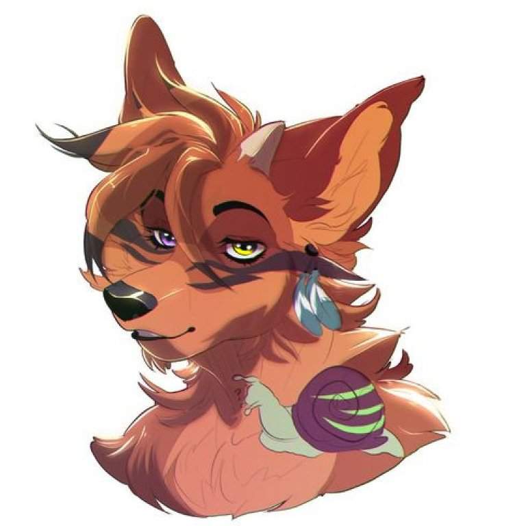 _ Shylie _ | Furry Amino