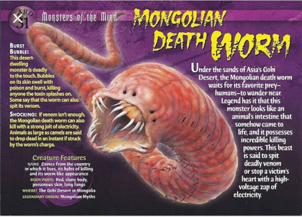 'The Mongolian Death Worm' | Urban Legends & Cryptids Amino