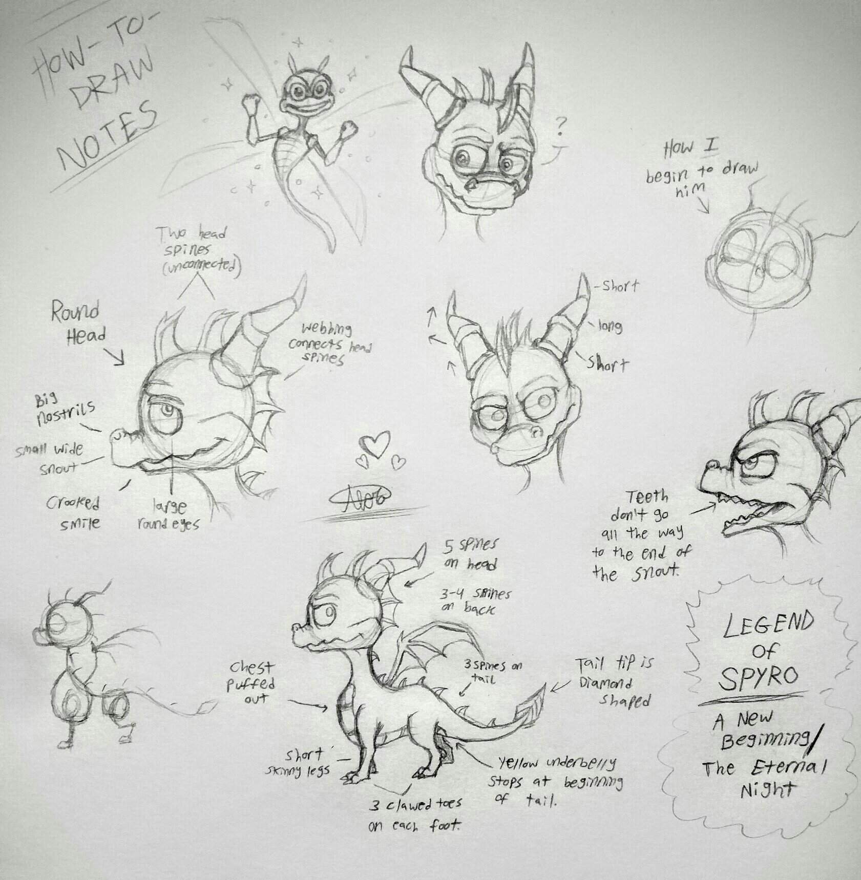 Studying LoS Spyro Anatomy | Spyro Amino Amino