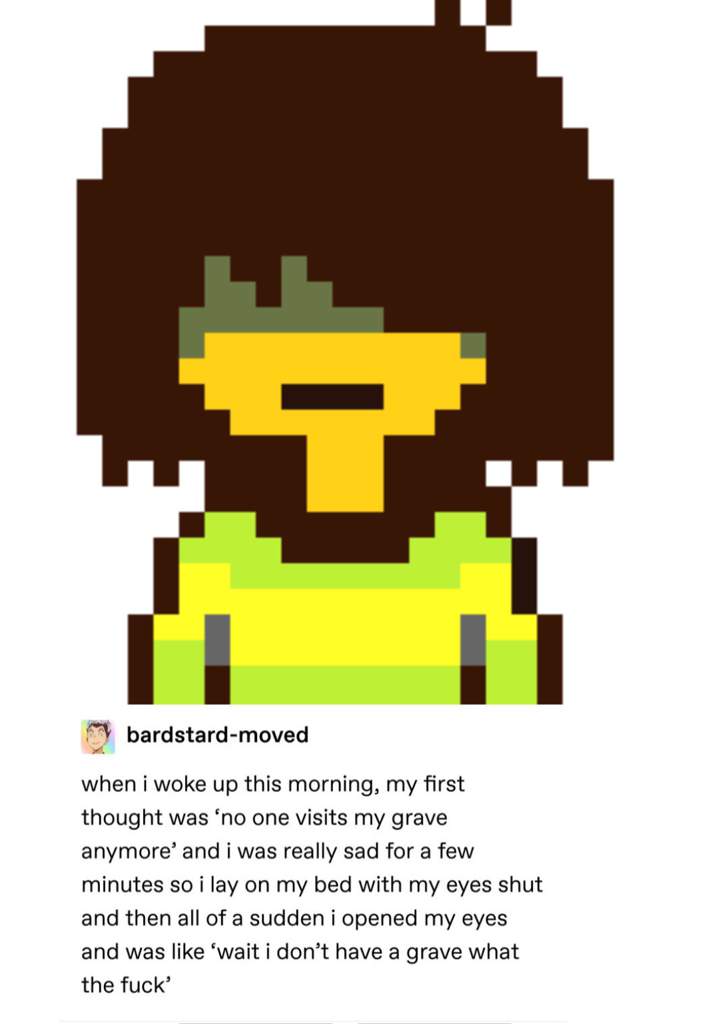 Deltarune text post memes that I made 