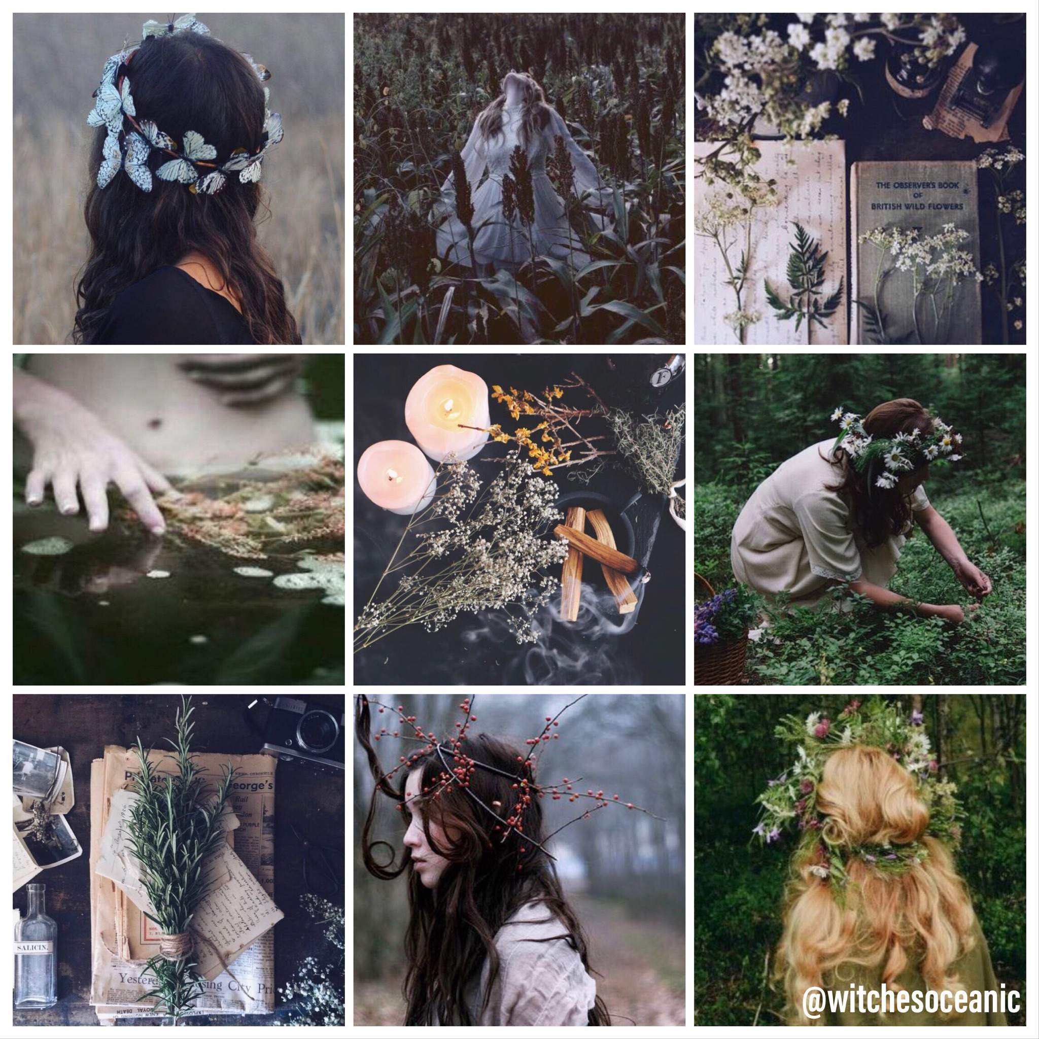 Aesthetic Board: Fae Witch | The Witches' Circle Amino