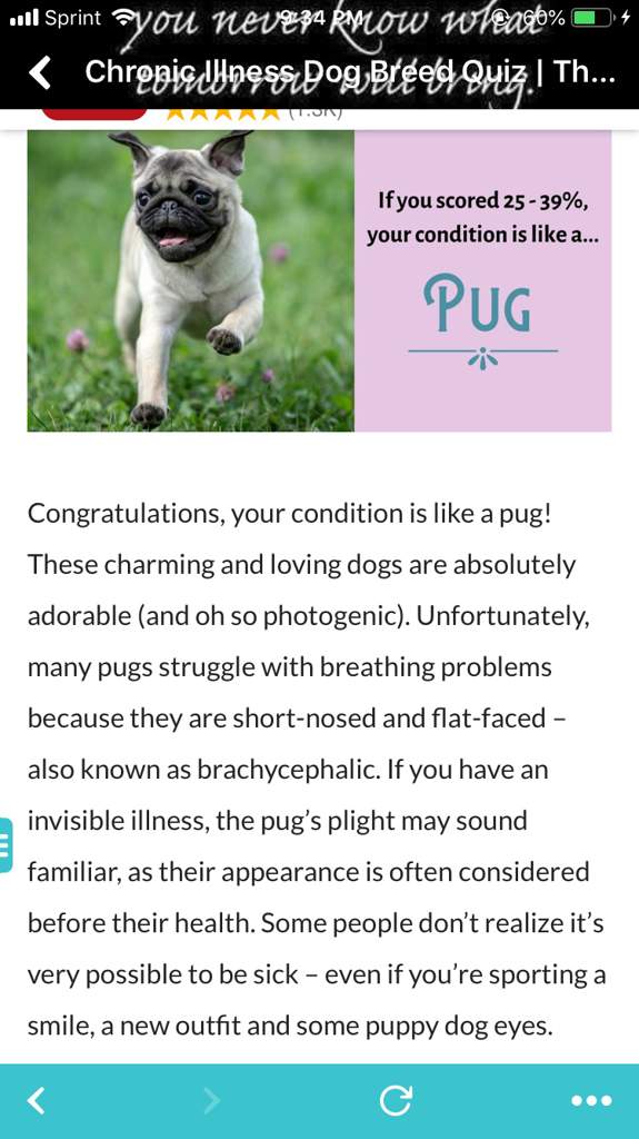 Quiz What Dog Breed Best Describes Your Chronic Illness