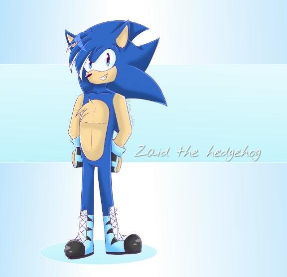 Zaid the Hedgehog | Wiki | Sonic the Hedgehog! Amino