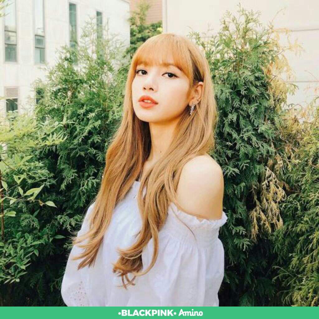 Lalisa Manoban | Wiki | •BLACKPINK• Amino