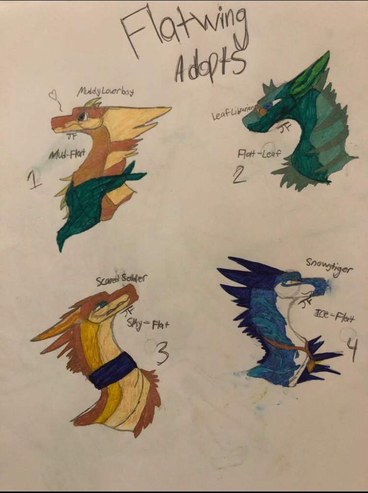 Jewel’s Flatwing Shop Wiki Wings Of Fire Amino