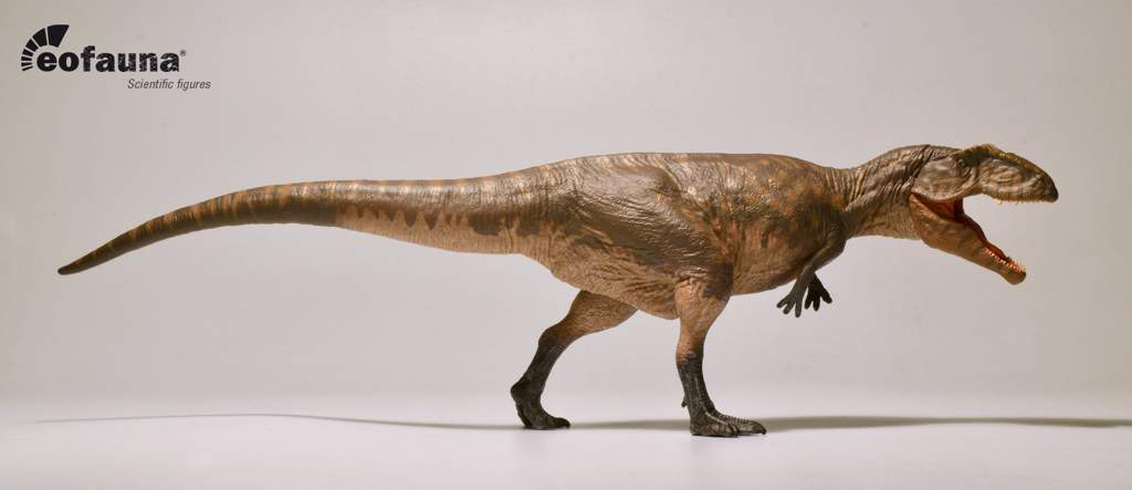 Giganotosaurus | Wiki | Amino Paleontología Amino