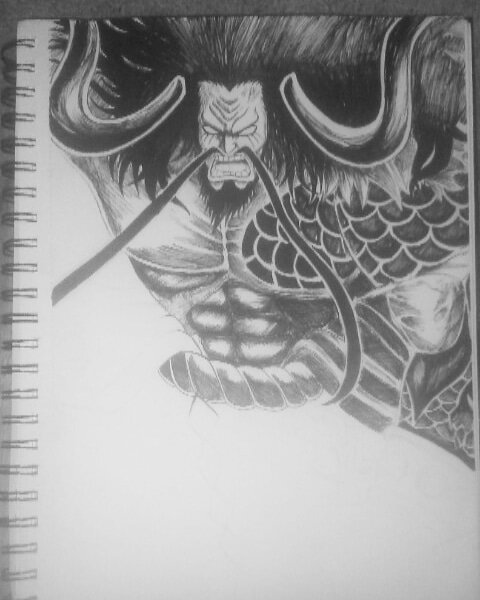 Kaido Detailed Drawing | SuperMechaFrieza 💜 Amino