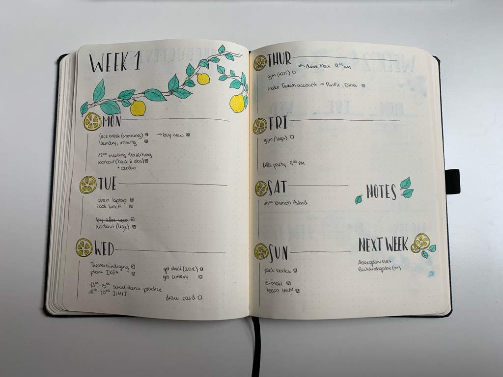 June 19 Setup Bullet Journal Amino