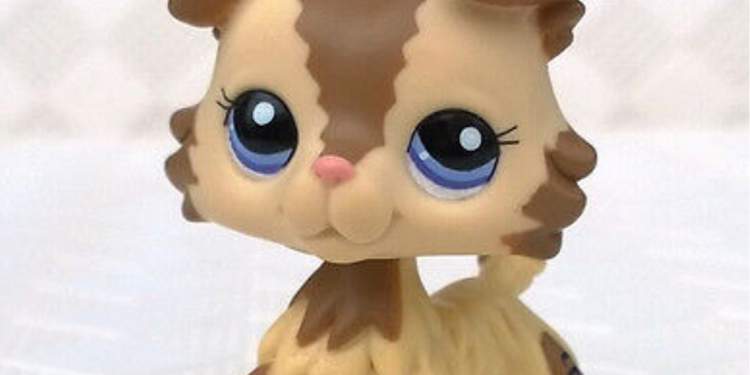 Lps Chat Littlest Pet Shop Amino Amino