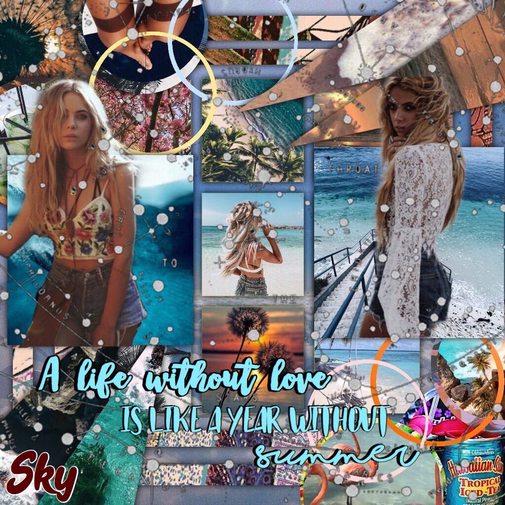 Summer Edits | PLL Amino