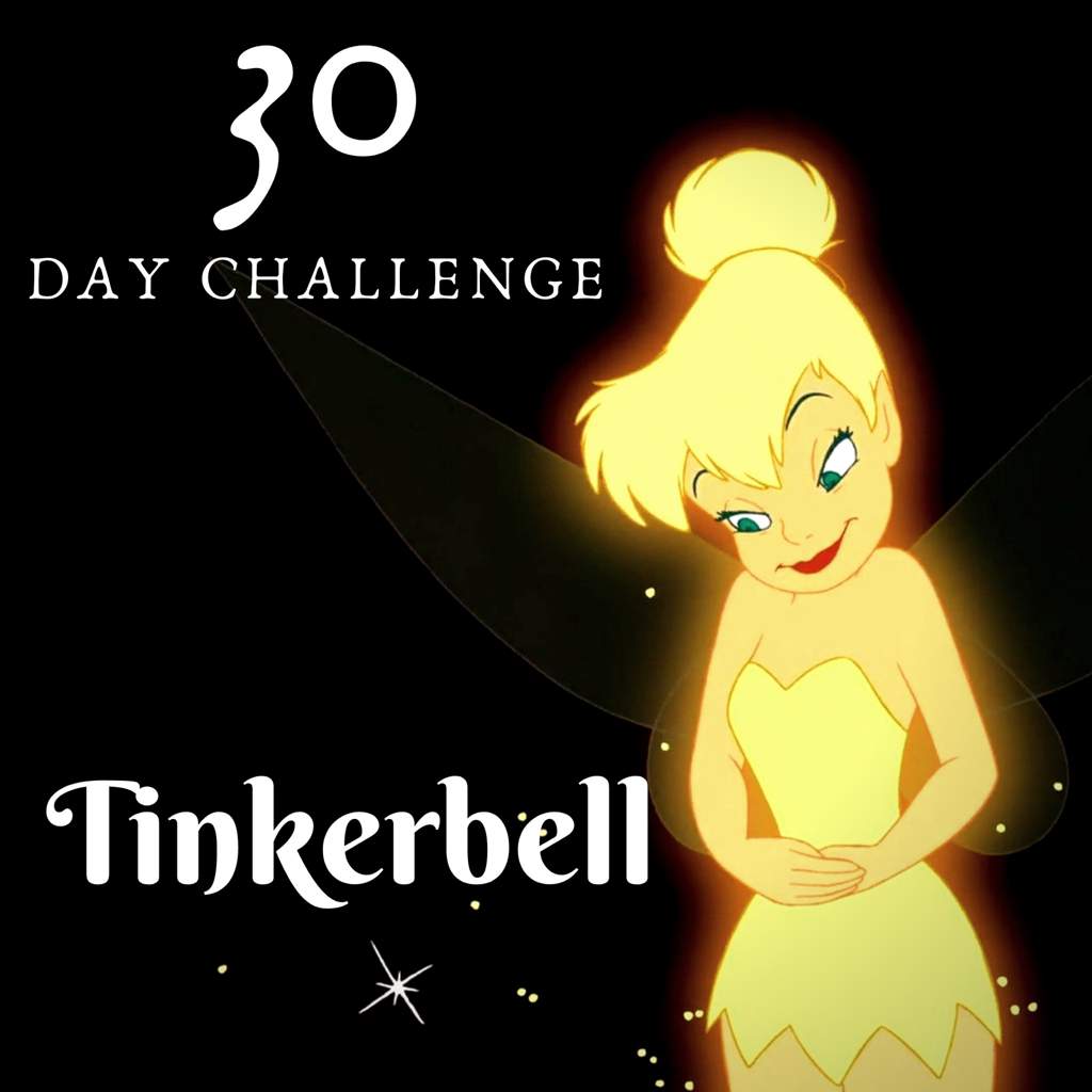 30 Day Challenge Wiki Disney Amino - richest roblox player wiki