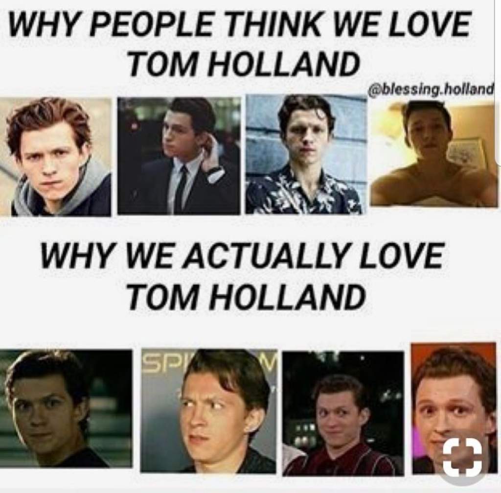 Wholesome/Funny Tom Holland Memes I Guess | Marvel Amino