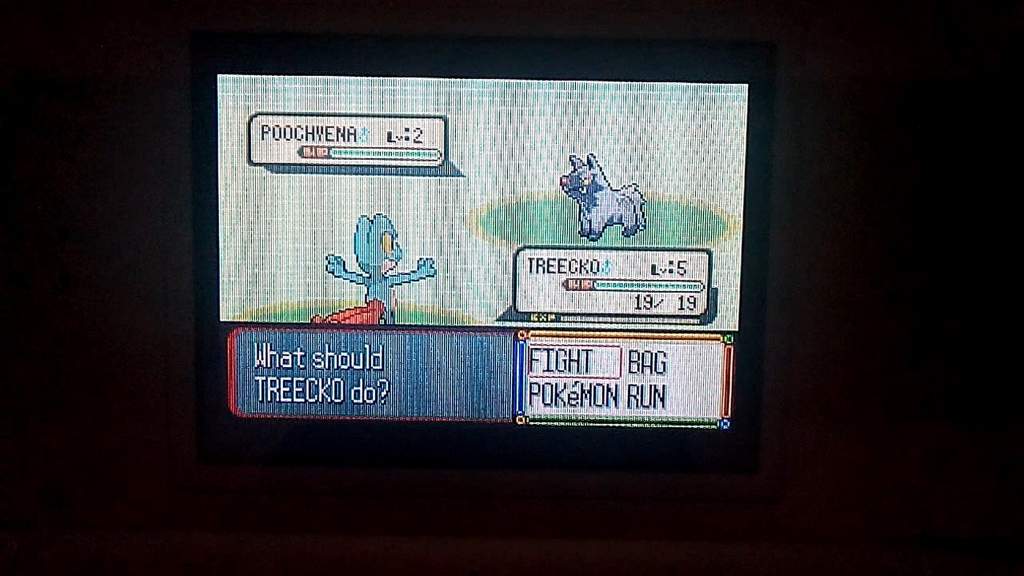 [Full Odds] 3 Shiny Pokemon hunting starters in Hoenn💜 The Shiny