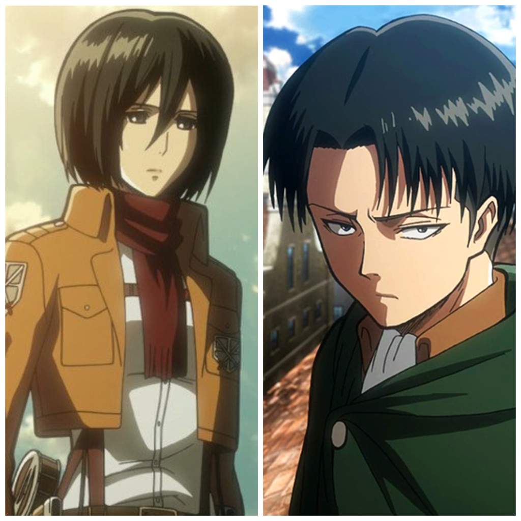levi and mikasa look over the shoulder levi and mikasa look over the shoulder