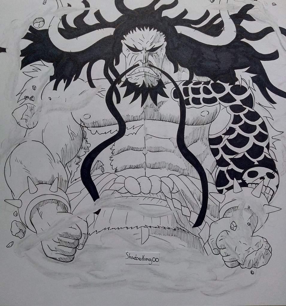 Dessin Kaido | One Piece 🍗 Amino