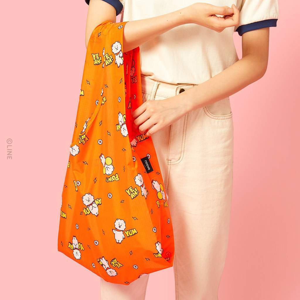 bt21 baggu