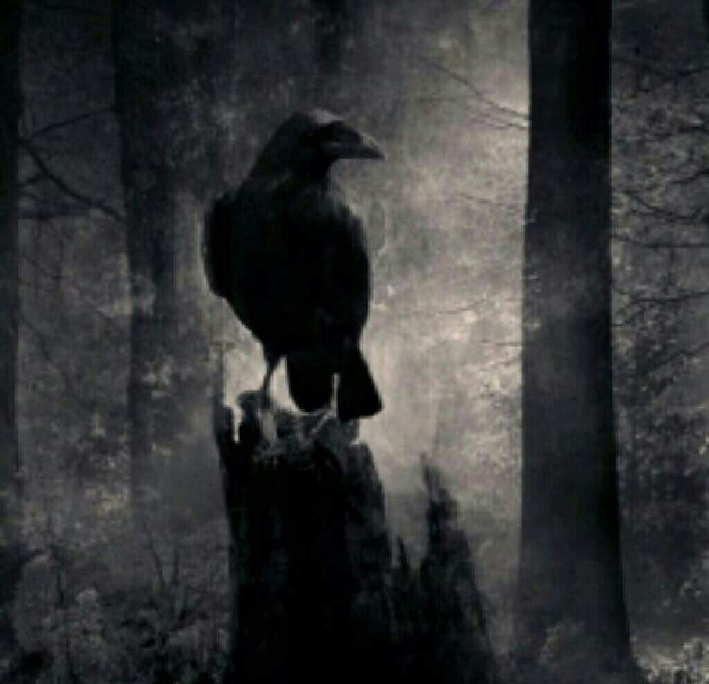 Crow Village 1 City Of Darkness Amino