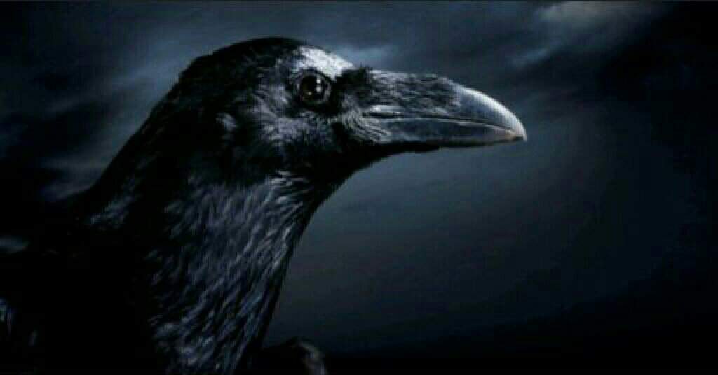 Crow Village 1 City Of Darkness Amino