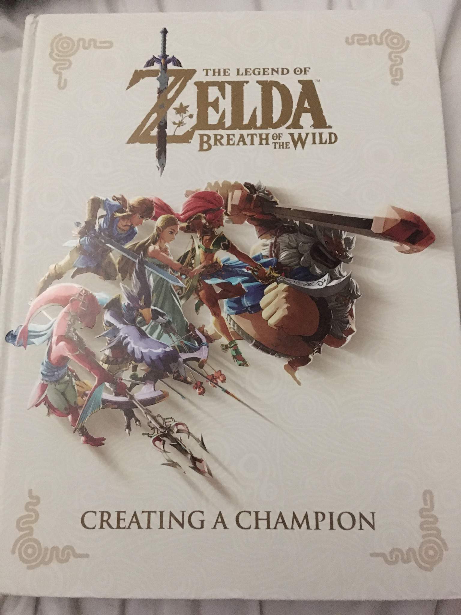 BOTW: Creating a Champion | Zelda Amino