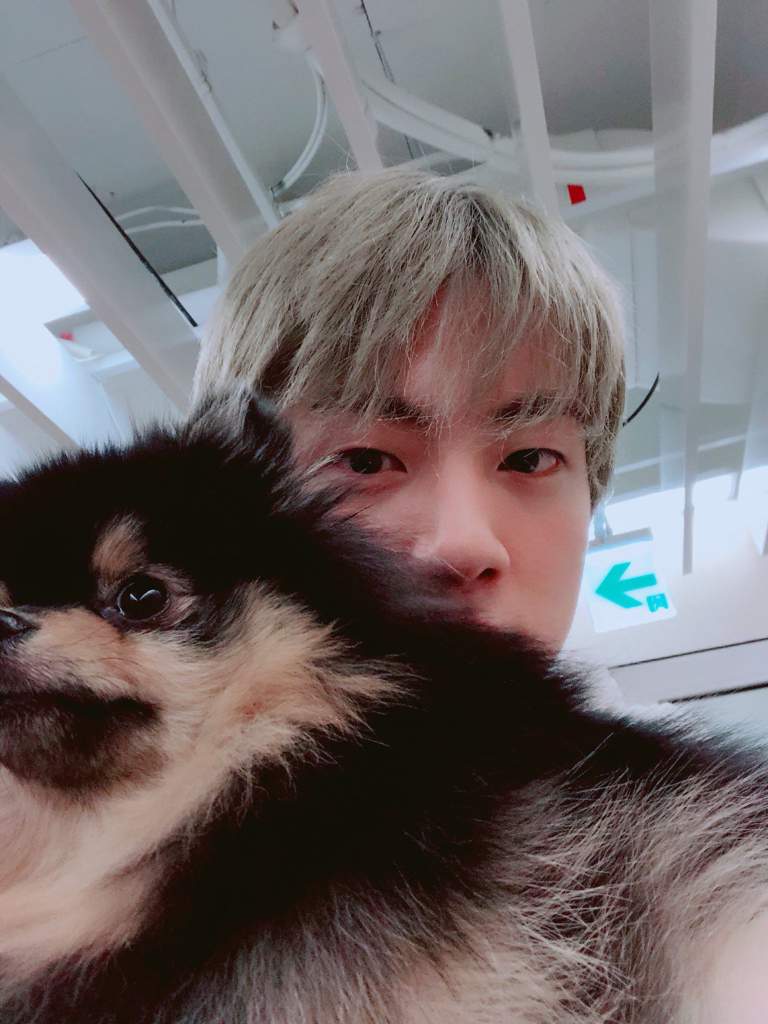 BTS + Yeontan Appreciation!💜 ARMY's Amino