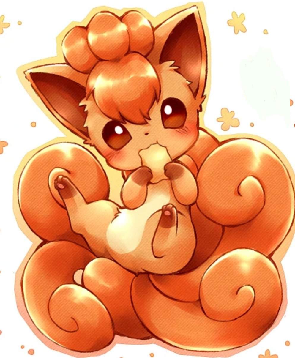 Toast♥️ | Wiki | Pokémon Amino