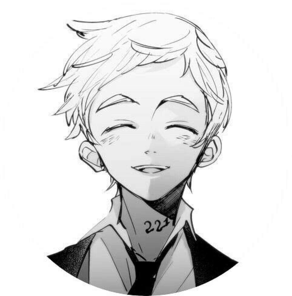 Norman Wiki The Promised Neverland ™ Amino 