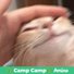 amino-Cattykit AKA Cathy (inactive)-16606431