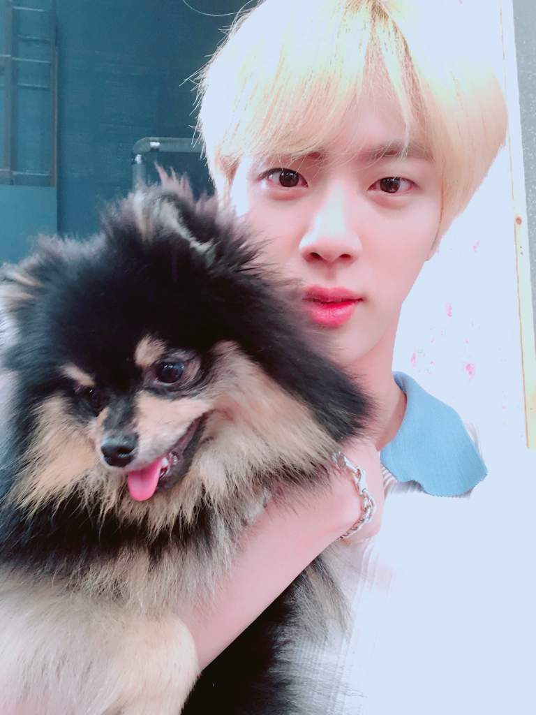 BTS + Yeontan Appreciation!💜 | ARMY's Amino