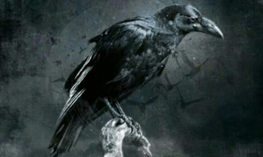 Crow Village 1 City Of Darkness Amino