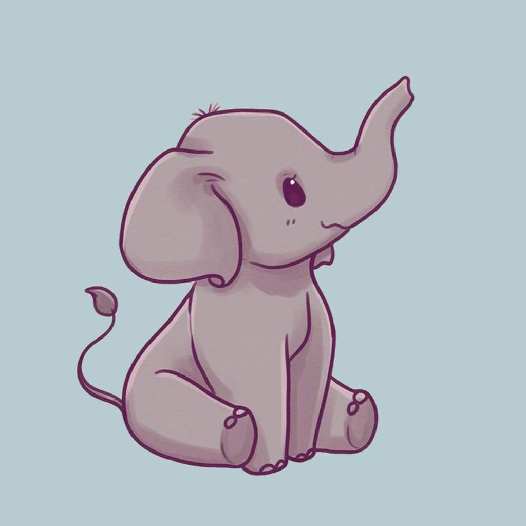 Elephants | LGBT+ Amino