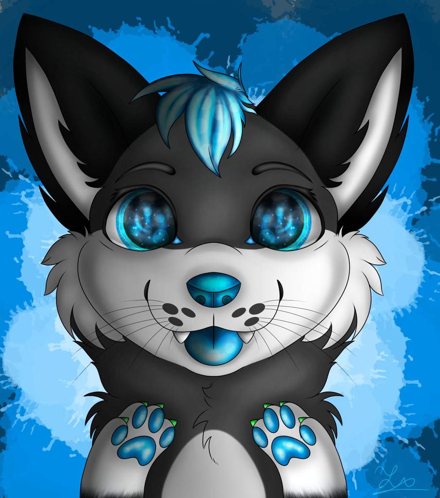 Fluffy Blueberry | Wiki | Furry Amino