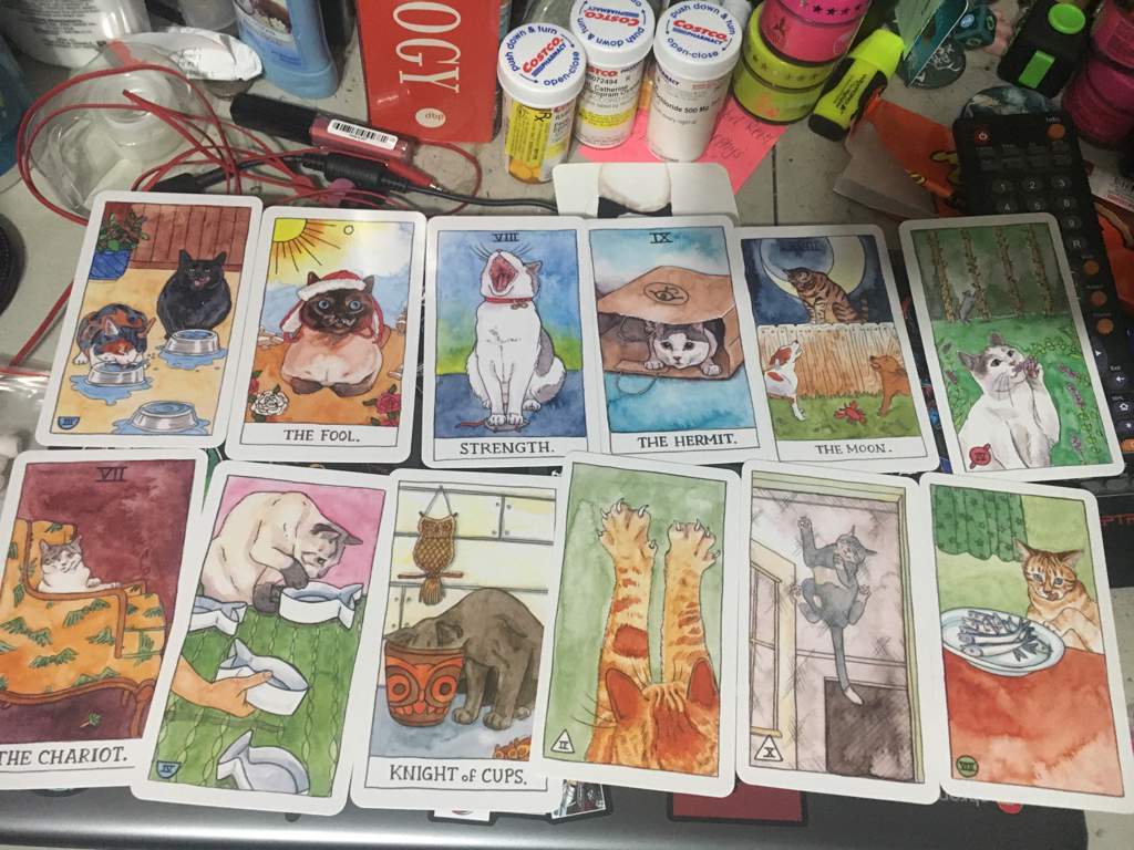 Review of Megan Lynn Kott's Hand-drawn Cat Tarot Card Deck