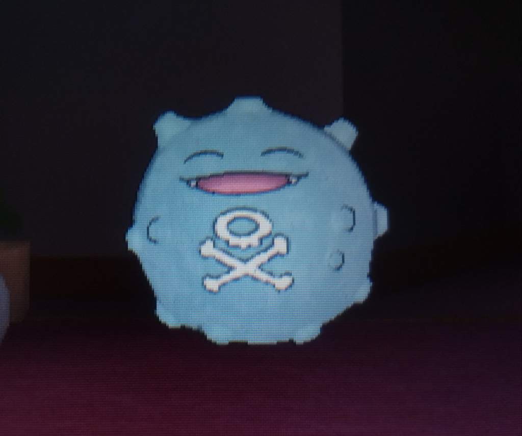 shiny koffing plush