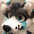 amino-✨Aquarii Fursuits (Astro)✨-9cb217df