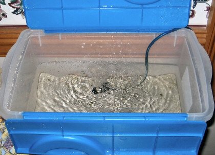 plastic bin fish tank