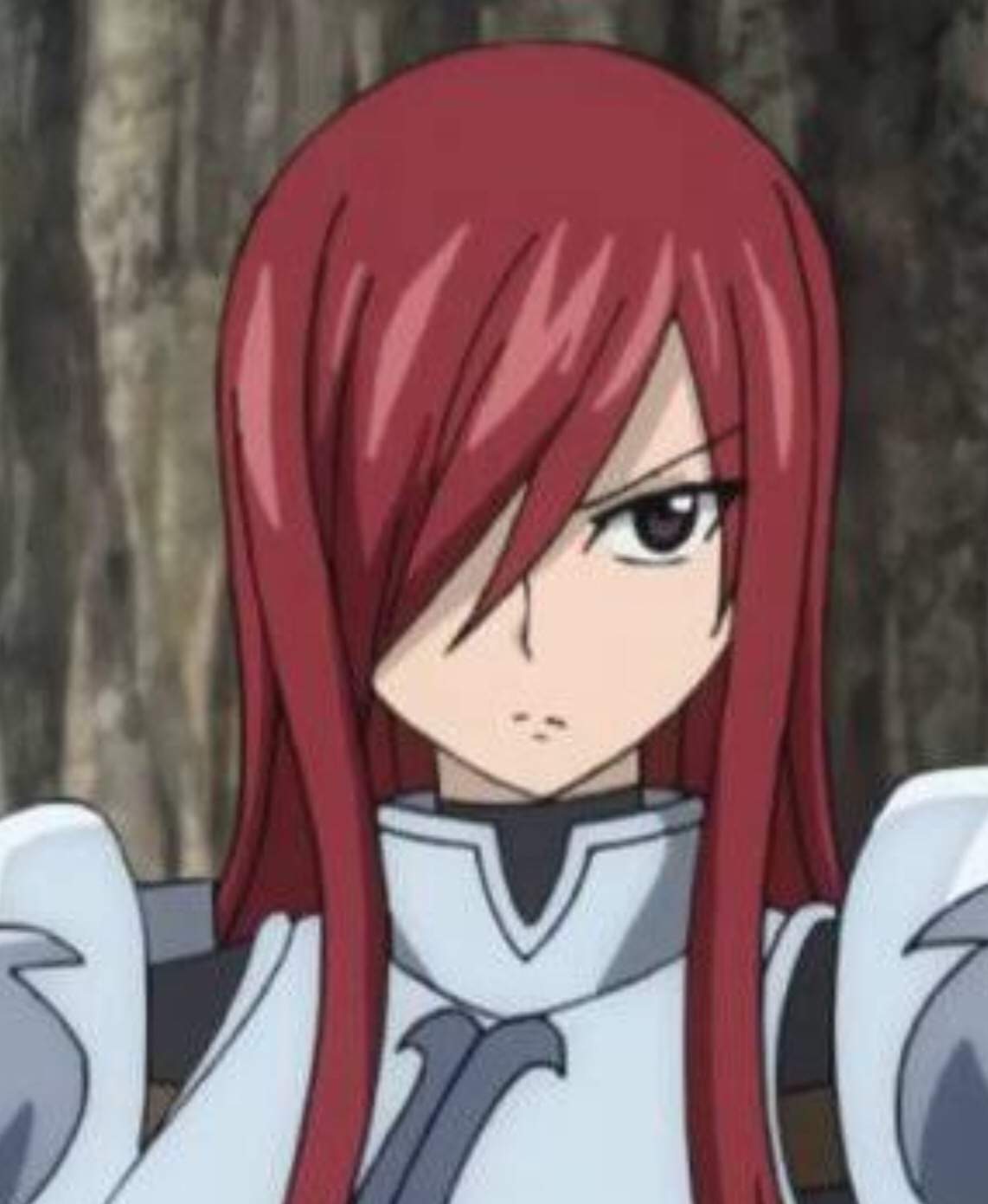 Erza Belserion | Wiki | Fairy Tail Amino