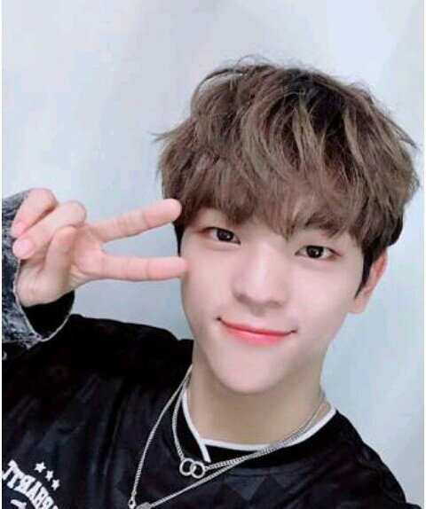 Kim woojin wiki